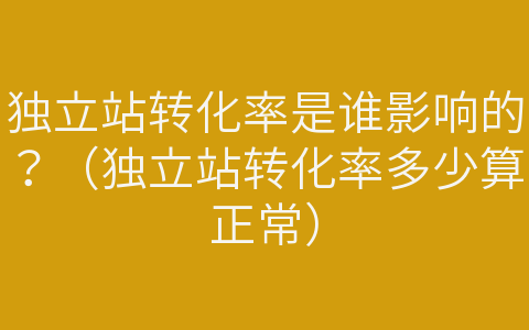 獨立站轉(zhuǎn)化率是誰影響的？（獨立站轉(zhuǎn)化率多少算正常）